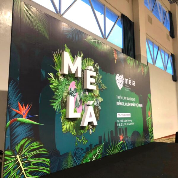 Backdrop Printing and install