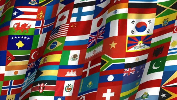 Country Flag 6,5x10ft - custom request - Image 2